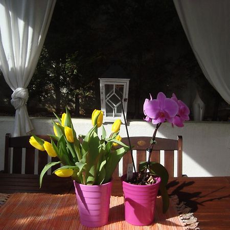 Apartment Villa Holiday II Пула Экстерьер фото
